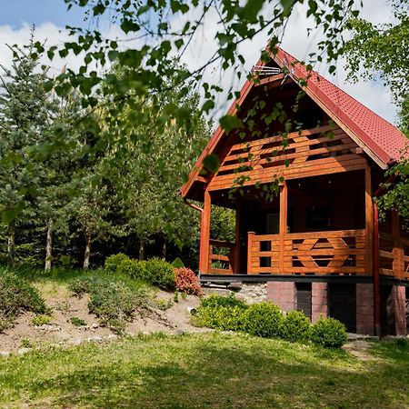 Borowa Chatka Borowy Mlyn Exterior foto