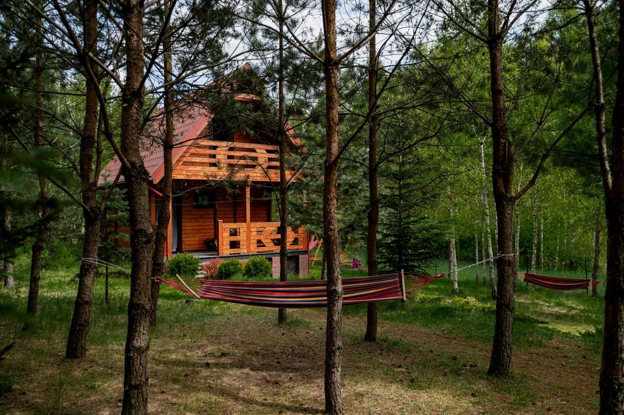 Borowa Chatka Borowy Mlyn Exterior foto